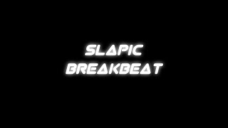 Dj Stadium Slapic 2021(BREAKBEAT)