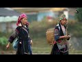 sapa winter tourism discover the charms of the chilly season