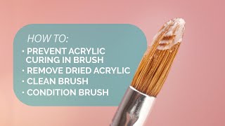Keeping Your Acrylic Brush In Top Shape - Suzie's Pro Tips