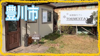 豊川市で可愛い猫ちゃんに会いにいきます♪《保護猫カフェ TORMENTA》