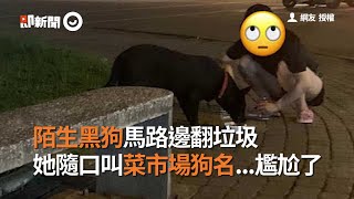 陌生黑狗馬路邊翻垃圾 她隨口叫菜市場狗名...結果尷尬了｜寵物｜狗狗