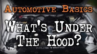 Car Basics - What's under the Hood?