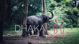 ঘুরে আসুন জাতীয় চিড়িয়াখানা II Bangladesh National Zoo II Fun Friday BD