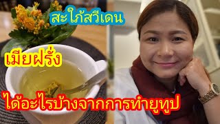 Ep.32 เมียฝรั่งได้อะไรบ้างจากการทำยูทูป#เมีย​ฝรั่ง​#​คนไทยใน​ต่างแดน​#​สะใภ้​สวีเดน​#​ยูทูป