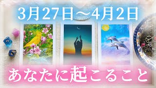 新年度へ🦋【細密Weekly】🌸3/27〜4/2の運勢🌈あなたに起こること✨💕🍀🔮タロット＆チャーム＆ルノルマン＆オラクルカードリーディング🌸