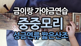 성금연류 짧은산조 - 중중모리 - 금이랑 가야금 연습