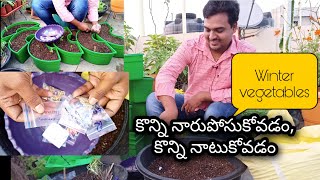 Preparing for winter vegetables  శీతాకాలం పంట కోసం ఇప్పుడు విత్తనాలు నాటాను #pottingMix #OrgGardener