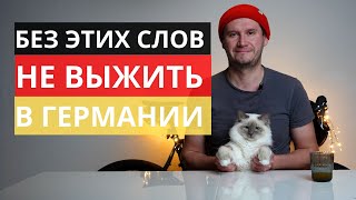 10 СЛОВ НА НЕМЕЦКОМ, КОТОРЫЕ ТЫ ЗАПОМНИШЬ ПЕРВЫМИ