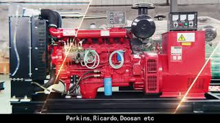 Diesel generator set in Weifang, Shandong, China