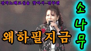 *가수소나무*(송소라) - 왜하필지금 @전국노래교실을찾아서_전주편(가요TV)