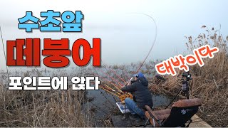 와우 시작부터 죽여주는// 엄청난 떼붕어 포인트#big fishing