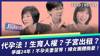 代理孕母法一讀！生育是人權 子宮可出租？（公共電視 - 有話好說）