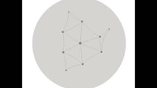 Hyperbolic Force Directed Graph Layout Explained