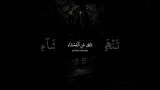 ﴿إِنَّ ٱلصَّلَوٰةَ تَنۡهَىٰ عَنِ ٱلۡفَحۡشَآءِ وَٱلۡمُنكَرِۗ ﴾عبد الرحمن مسعد  .