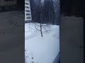 enchanting live snowfall in finland 2025 winter wonderland