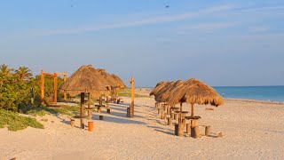 El Cuyo, Yucatán, Mexico (Carretera Cancún) - Mayo 2023 - Latir de humanidad