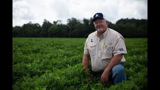 Through the Eyes of a Farmer: Bart Davis, Doerun, Georgia