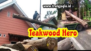 Teak woodworking heroes/ Para pejuang kayu jati dari Blora #shorts best #teak #wood #legal #logging