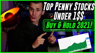 Top Penny Stocks Under $1 To Buy & Hold 2021