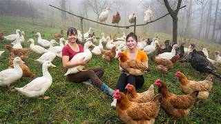 TIMELAPSE -- Buy 1000+ Newly Hatched Ducklings & Rustic Turkey Pilaf Cooked the Village Way