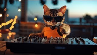 DJ MIAWW Live - The Best TECHNO Party Mix 2025 | dance with The Coolest Cat DJ🎉