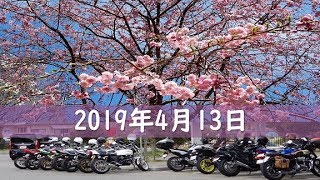 #670 【67de 最強VTR250F】今年最後の花見ツーリング　250本しだれ桜