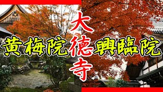 秋の京都2023「大徳寺」黄梅院と興臨院