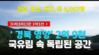 [경북사찰매매]경북 영양군 석보면/급매~ 국유림 속 나만의 공간 4,097평 2.9억(암자 절)힐링 명상부지 기도터