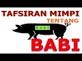 TAFSIRAN MIMPI KITA TENTANG BABI