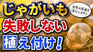 #19.【春じゃがいも】失敗しない⁉粘土質な畑の植え付けの2つのポイント【家庭菜園】ネズミ対策もします！