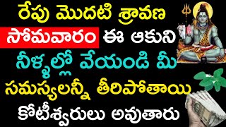 రేపు మొదటి శ్రావణ సోమవారం ఈ ఆకుని నీళ్ళల్లో వేయండి మీ సమస్యలన్నీ తీరిపోతాయి కోటీశ్వరులవుతారు