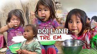 Sự thật sau thước phim đứa trẻ ở núi cao ăn cây cỏ đói lạnh đến mức khó tin I Phong Bụi