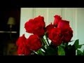 How to Make Your Valentine's Roses Last | At Home With P. Allen Smith