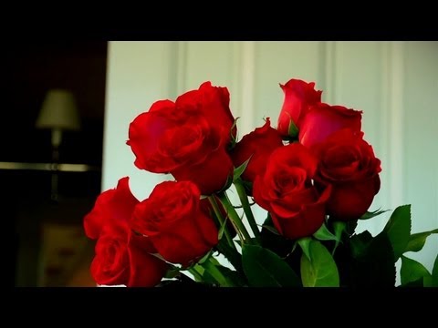 How to Make Your Valentine's Roses Last | At Home With P. Allen Smith How to Make Your Valentine's Roses Last | At Home With P. Allen Smith