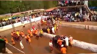 Karkala kambala fans