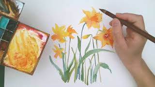 [Beginner] 水彩水仙花 Daffodil in Watercolour