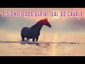 O significado espiritual do cavalo