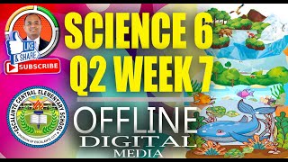 Science 6 Quarter 2 Week 7: Conserving and Protecting Ecosystem by SiRymon