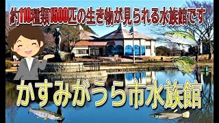 かすみがうら市水族館　\