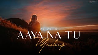 Aaya Na Tu Mashup 2024 | Heartbreak Chillout | BICKY OFFICIAL