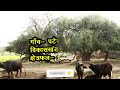 दमोह जिले के 10 सबसे बड़े गाँव top 10 villages of damoh district madhya pradesh