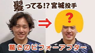 神様、仏様、宮城様！驚きのビフォーアフター