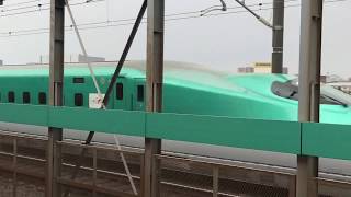 JR浮間舟渡駅付近を通過する、下り10両編成E5系と上りE5系の新幹線！浮間舟渡駅2・1番線の駅名標！埼京線91快速川越行き70-000形70-019、70-010編成が、2番線を通過！