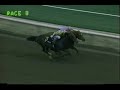 ferdinand vs. broad brush 1987 santa anita handicap