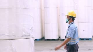 PT. Lontar Papyrus Pulp & Paper Industry