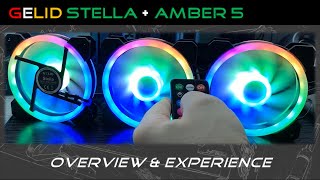 Gelid - Stella + Amber 5