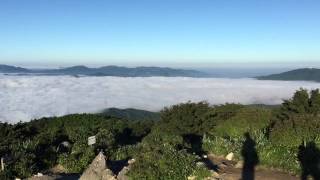 糸島 脊振山系 井原山山頂 雲海出現