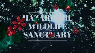 Hazarikhil Wildlife Sanctuary -(হাজারিখীল বণ্যপ্রাণী অভয়ারণ্য )