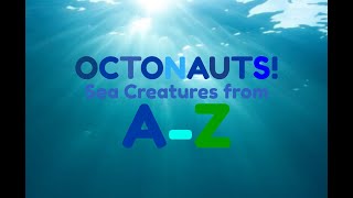 OCTONAUTS (Sea Creatures from A-Z) With real Pictures!