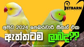 කුරුල්ලෝ හදන එක ඇත්තටම ලාබද?